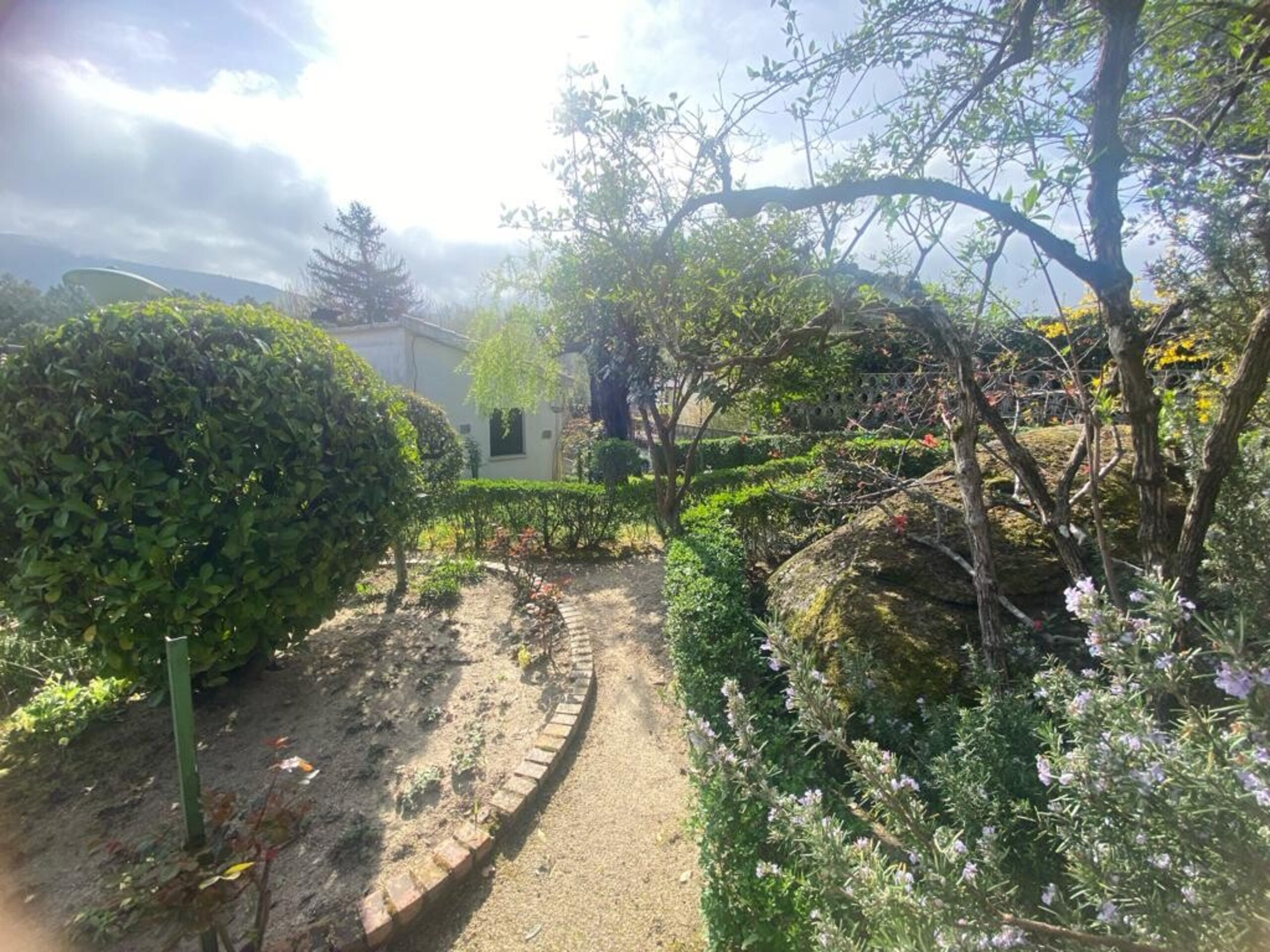 RAMACASTAÑAS - 15