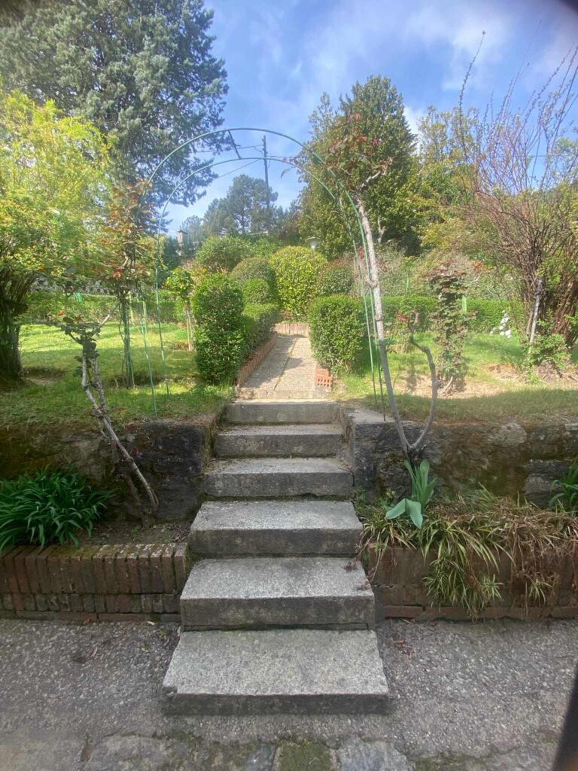RAMACASTAÑAS - 14