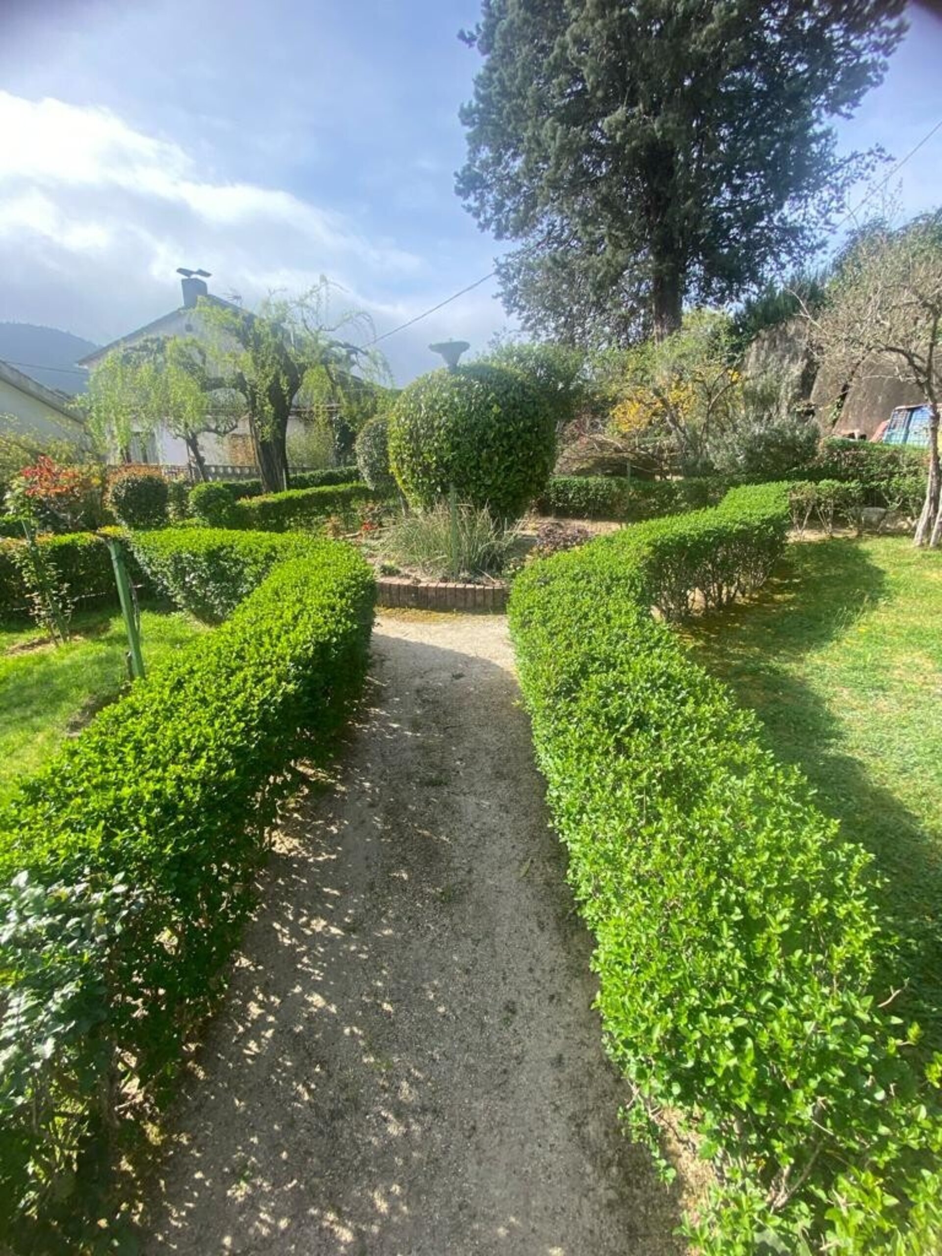 RAMACASTAÑAS - 17